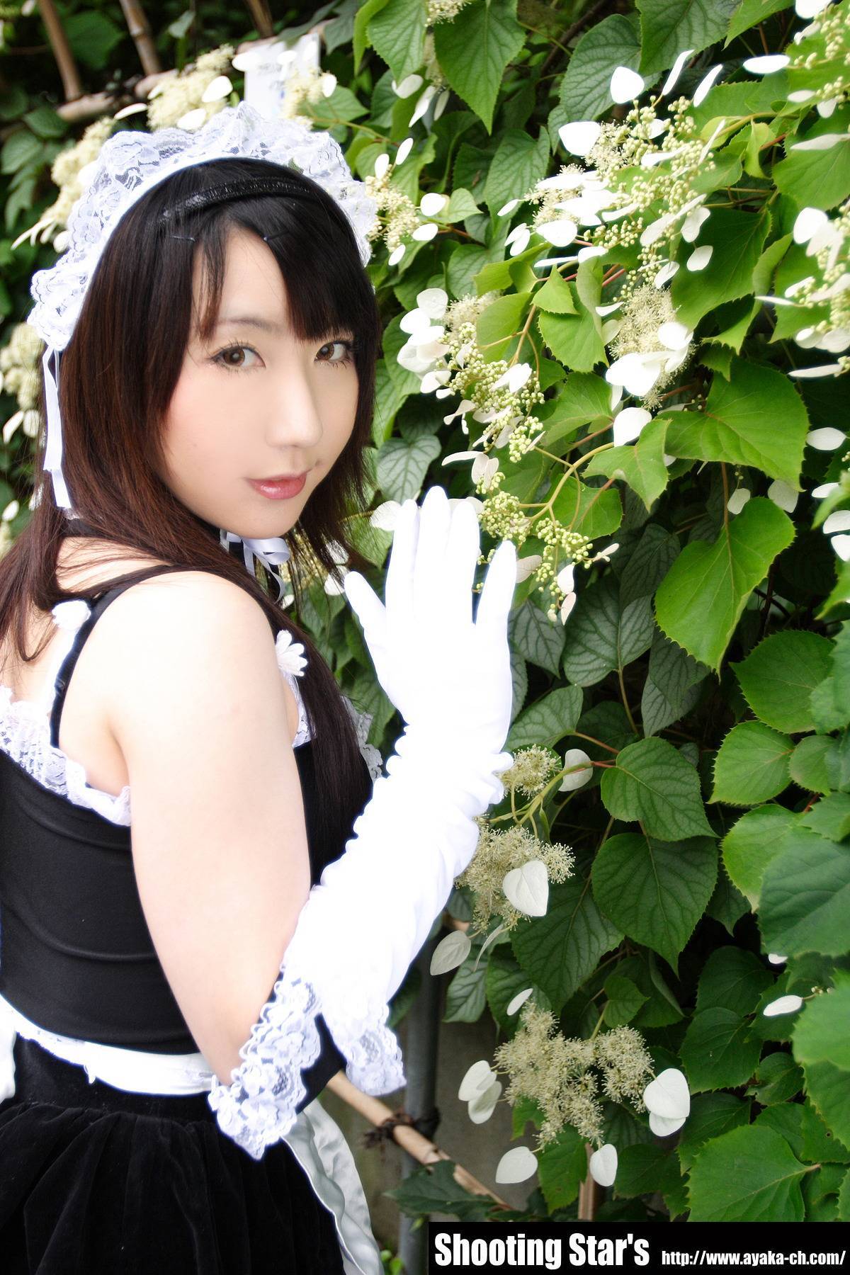 [Cosplay]  Sexy Maid with big boobs